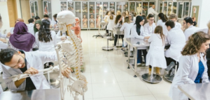 Tıp Fakültesi Sıralamaları: Tüm Üniversitelerin Tam Listesi