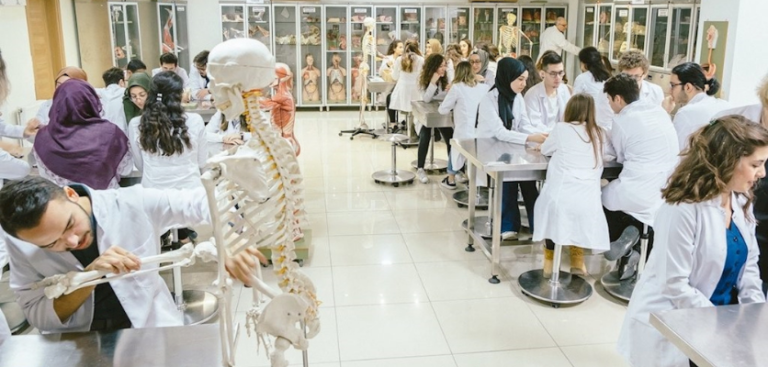 Tıp Fakültesi Sıralamaları: Tüm Üniversitelerin Tam Listesi
